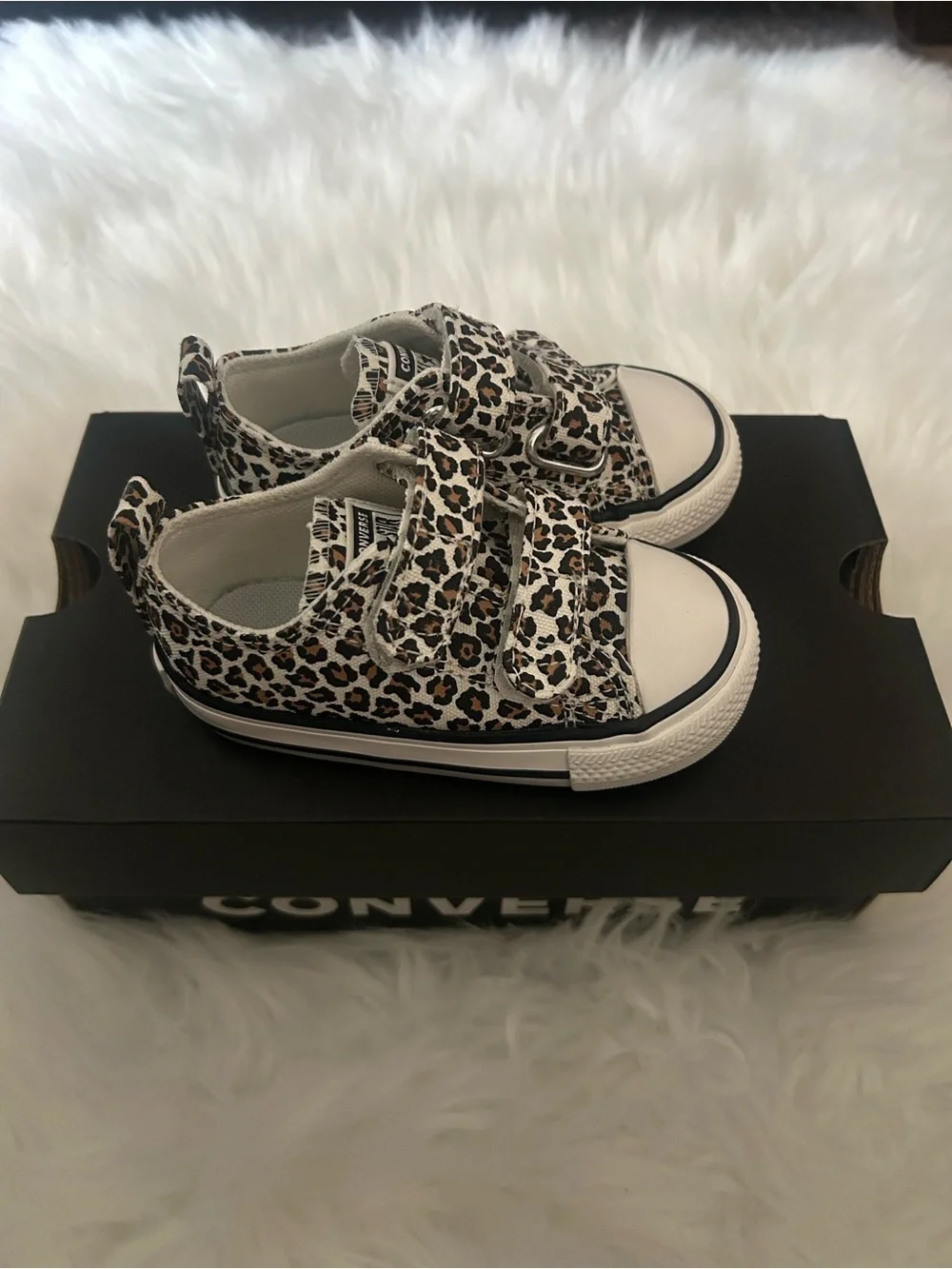New in box cheetah print converse shoes size 6